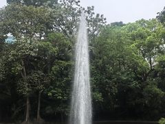 -九龙公园