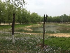 -东郊湿地公园