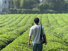 -敬亭山风景名胜区