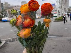 -循礼门鲜花花市(武汉循礼门店)