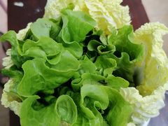 -墨脱石锅椰子鸡•香草鸭•东山羊(大东海店)