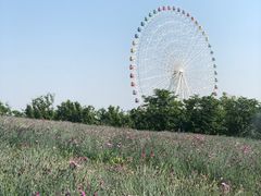 -泰山天颐湖旅游度假区
