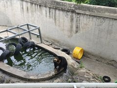 -天津市动物园