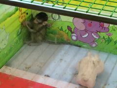-杭州野生动物世界