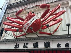 -蟹道乐(道顿堀本店)