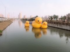 -菊园百果园