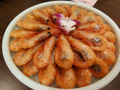-黑松白鹿(金融街店)
