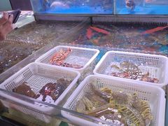 -金成潮菜博物馆(海珠湿地店)