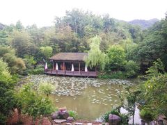 -西院1号(龙井店)