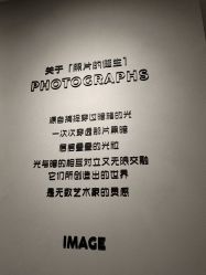 -大树儿童摄影