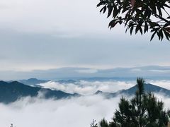 -梦幻奥陶纪景区