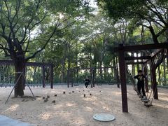 -深圳国际园林花卉博览园