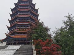 -铁山坪森林公园