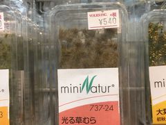 -秋叶原电器街