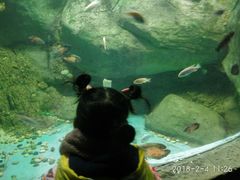 -苏州海洋馆