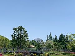 -上海植物园-4号门售票处