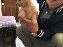 -浔岚云舍mist静谧观景美宿(丽江古城店)