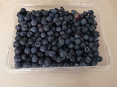 -金谷域澳洲庄园