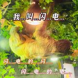 小草探店の沉浸式撸宠体验