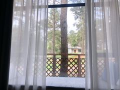 -竹上云想餐厅民宿