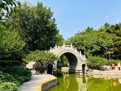 -团结湖公园