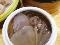 海底椰海馬燉龍骨-横河佬炖品店(罗阳一路老店)