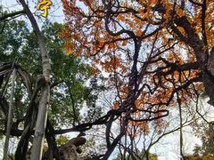 -绮园景区