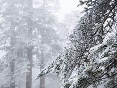 -瓦屋山景区