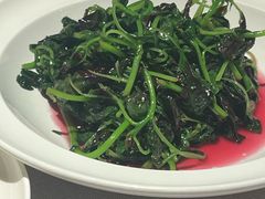 -许家菜(DT51店)