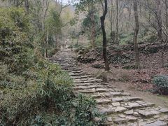 -仙霞关景区