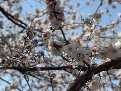 -哈根达斯(皇城恒隆广场店)