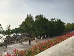 -宝安西湾红树林湿地公园