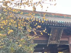 -西安化觉巷清真大寺