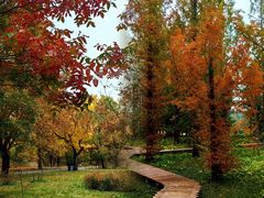 -国家植物园南园