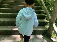 -牛背梁国家森林公园