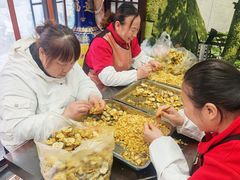 -孟家蟹包(锦绣街店)