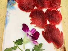 -南方花园鸭肠王(科园四路店)