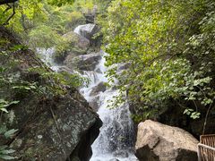 -广州市流溪河国家森林公园