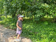 -天毓山庄·餐厅