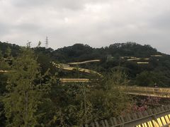 -福道