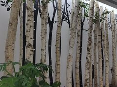 -极简口腔(总院)
