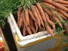 iphone_upload_pic-永和红旗美食城