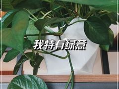 -七彩云南茶(七彩云南第壹城店)