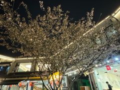 -聚汇三少·龙虾·中餐厅(莫邪路新天地店)