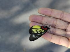 -人民公园(罗湖区)