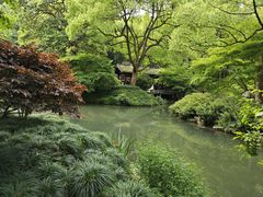 -杭州植物园