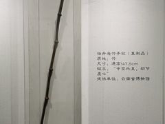 -老桂湖公园-杨升庵博物馆