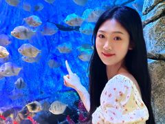 -沈阳海洋探索中心