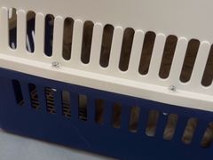 -中农国际动物医院24小时·猫科·骨科·急重症中心