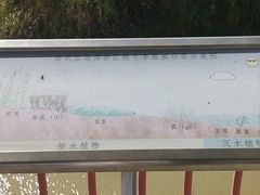 -鄱阳湖国家湿地公园